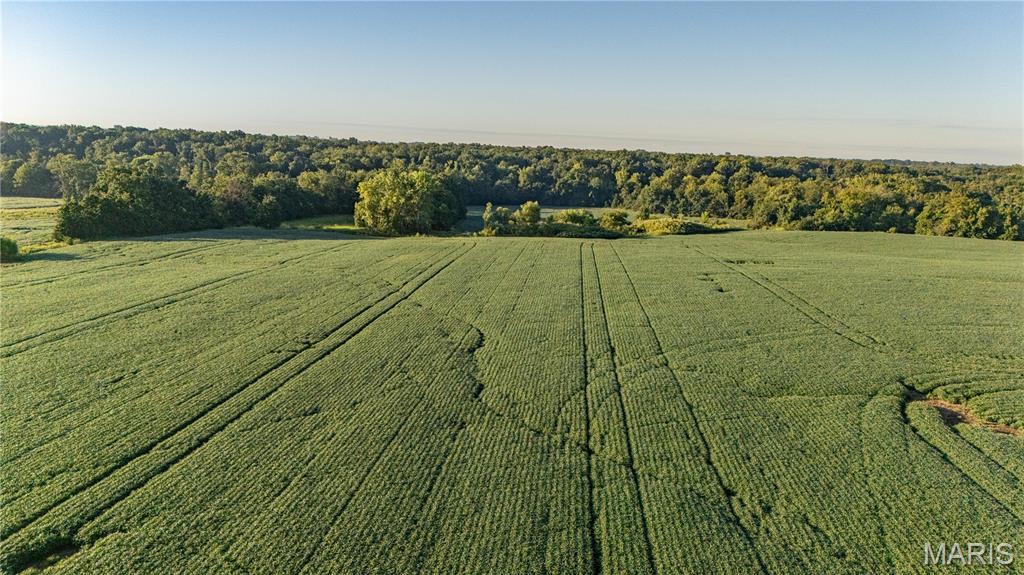 N/A - Farm