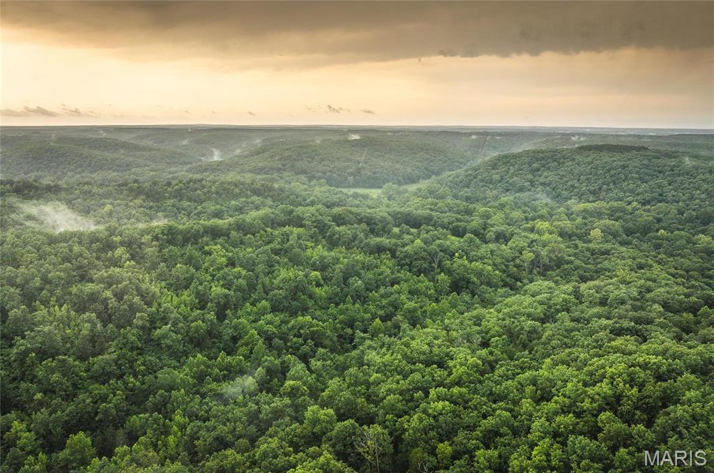 Discover 80 acres of wooded recreational ground in Phelps County, Missouri. This rolling-hills property offers excellent deer and turkey hunting with plenty of cover and natural habitat. Located close to Mark Twain National Forest, you’ll enjoy easy access to the Little Piney Creek for fishing, hiking, and additional hunting opportunities. A great setup for a hunting camp, weekend getaway, or long-term land investment. Come take a look today!