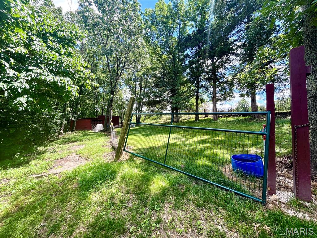 None - Residential Lease