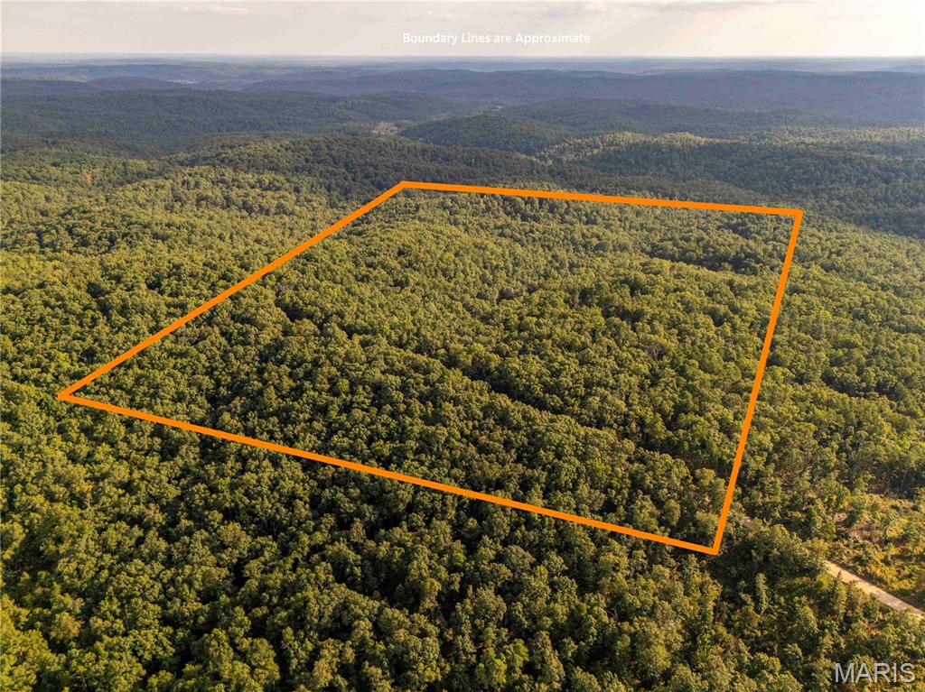 AUCTION LISTING - List price is not indicative of Seller's final reserve amount.  This property is part of an online bidding event.  This sale will be executed with a no-contingency contract provided by brokerage representing the Seller.  Contact with occupants is strictly prohibited.  See Auction Supplement Document for complete details.

This 80± acre property in Reynolds County, MO offers rolling terrain with good access and timber. The land shows the beauty of the Ozark Mountains that Missouri has to offer.

Consisting of mature black oaks, white oaks, and pines, the timber not only provides food and habitat for wildlife but also represents a valuable long-term investment. This property is a blank canvas for your vision, whether you're looking for a private campsite, off-grid cabin location, a hunting haven, or a recreational paradise. This area has a healthy population of deer and turkey, with plenty of nearby bedding habitat and acorns making it an ideal spot for hunting enthusiasts.

Location is key, and this property offers the perfect balance of seclusion and accessibility. You're just minutes from multiple public access points to the famous Black River, known for its crystal-clear water, incredible float trips, and fantastic fishing. The property is located 12 miles from Annapolis, 52 miles from Farmington, and 120 miles from St. Louis. This is more than just land; it's an opportunity to invest in your future, create lasting memories, and own a true slice of the Missouri outdoors. Don't miss out on this exceptional property.