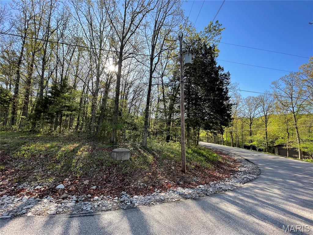 Get those building plans ready! You don't want to miss out on this 1.28 acre building lot.  Lake Forest Estates is a lake community of nearly 600 acres situated in the rolling hills of Ste Genevieve County.  Conveniently located a short distance from Interstate 55 and only an hour south of St Louis, this is the perfect location to build your weekend getaway or forever home! The community offers three lakes, access to UTV and walking trails, boating, fishing, basketball courts, outdoor Olympic sized pool and a community center.  For more information visit:  www.lakeforestestates.mo.com.