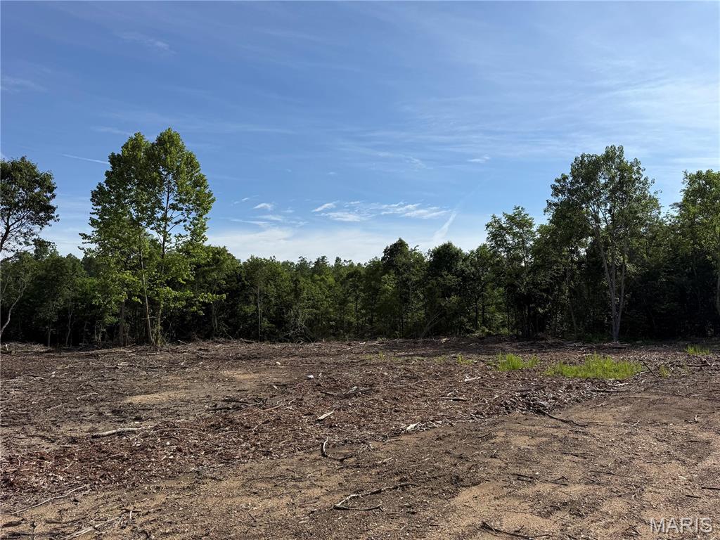 Hidden Valley 77. Secluded wooded tract with numerous trails and several clearings that would make excellent food plots or off-grid building sites. The property joins the National Forest near Crane Lake and the Ozark Trail. Located approximately 5.5 miles from Annapolis and 2 hours south of St. Louis.