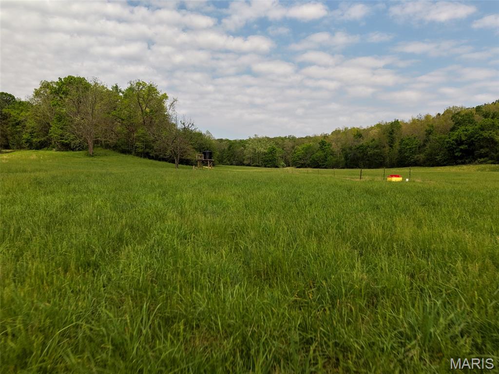 None - Farm