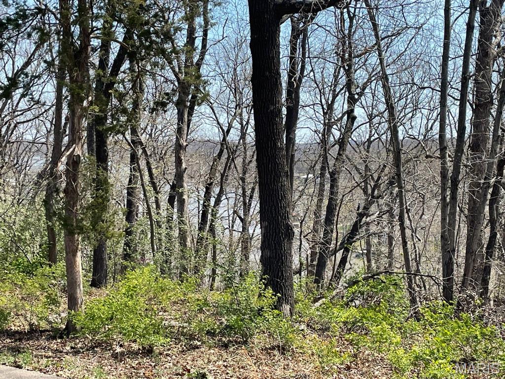 Goose Creek - Land