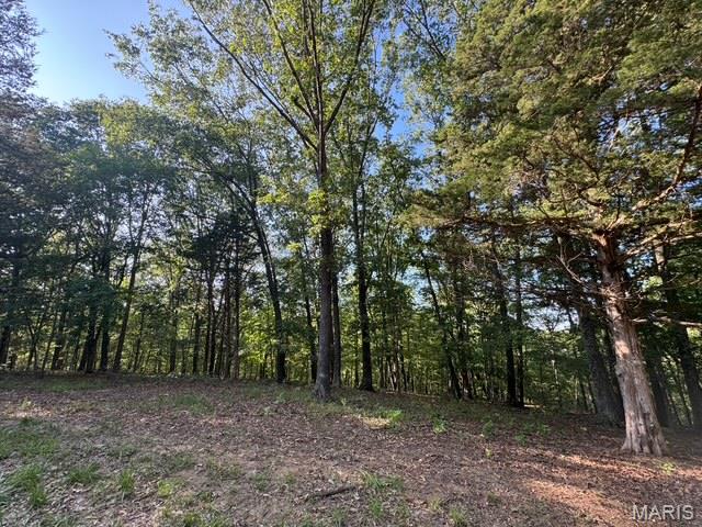 WOW, nearly 9 acres for under $250,000. Schedule an appointment and view this lot today.