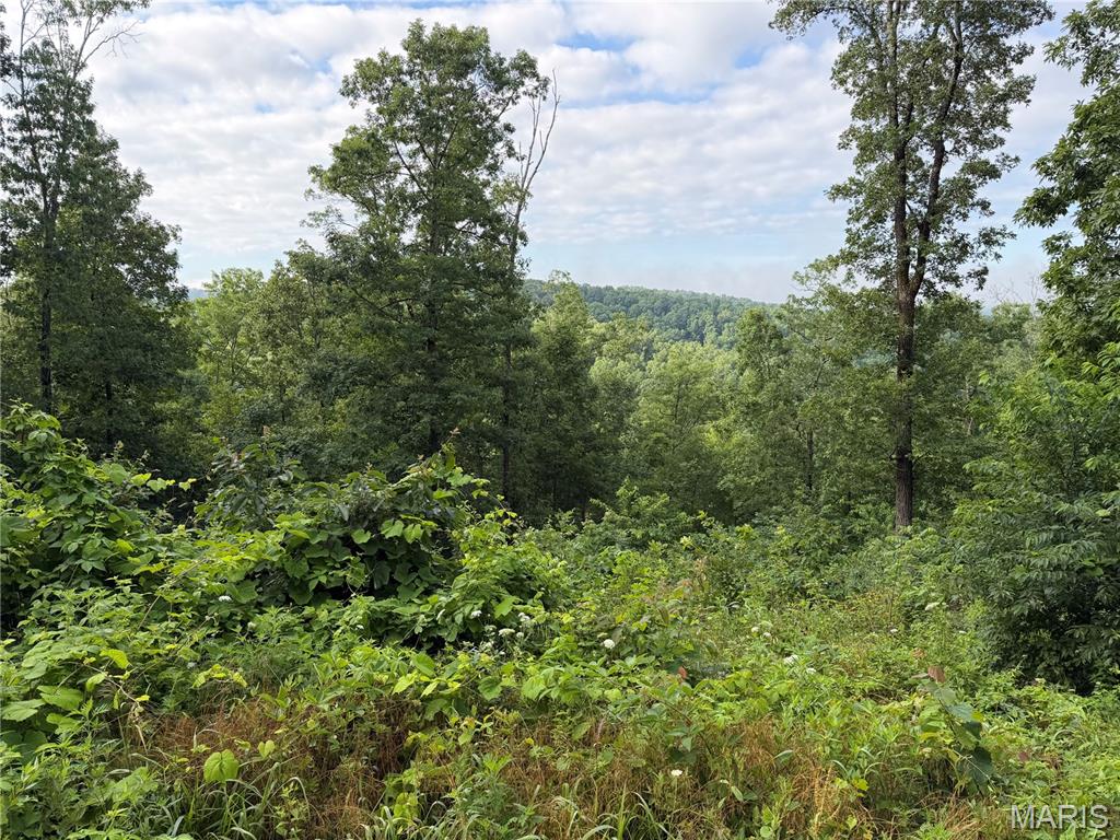 Black River Retreat #2 - Land