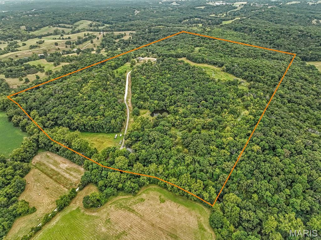 Few properties come along that check this many boxes.  This rare and versatile estate features 117± acres of rolling timber and open ridgetops, including a custom home with 5 bedrooms and 5.5 bathrooms, built in 2005, as well as a second brick ranch home with 3 bedrooms and 2 bathrooms. This property offers a perfect blend of rural beauty, tranquility, and convenience, located less than 9 miles from the W. Truman/Highway 179 intersection toward Centertown. The estate is rich with large hardwood timber, an extensive trail system, hunting opportunities, fishing (with a stocked pond), creek frontage, native grasses and wildflowers, a dog kennel, a barn, and a storage building. There is potential for income from the brick ranch home as well as development opportunities, all situated just ten minutes from Jefferson City’s west end. The custom-built home falls within the Jefferson City school district, while the second home is in the Jamestown school district. Co-Mo Electric and fiber internet are available on site.