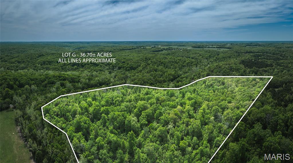 Lot G of Spring Bluff Farms is situated on 36.7 acres. It is accessible off of the newly established Armadillo Lane which is located off of Spring Creek Road. Enough acreage for recreational use, deer and turkey hunting, or building your new home. Located in a quiet and peaceful setting in the well sought after Spring Bluff School District. Bring your building plans and the builder of your choice and get started on your dream home!  Note: price includes the seller running electric to the proposed building site.