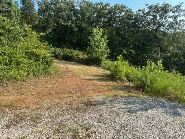 The Woods - Land