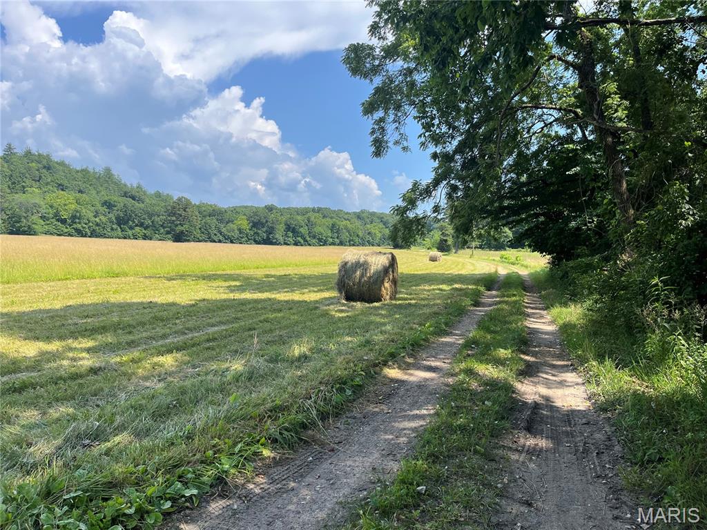 None - Farm