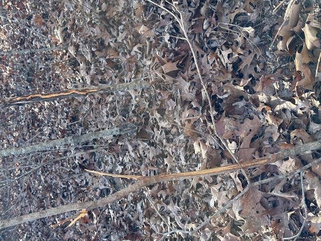 none - Farm