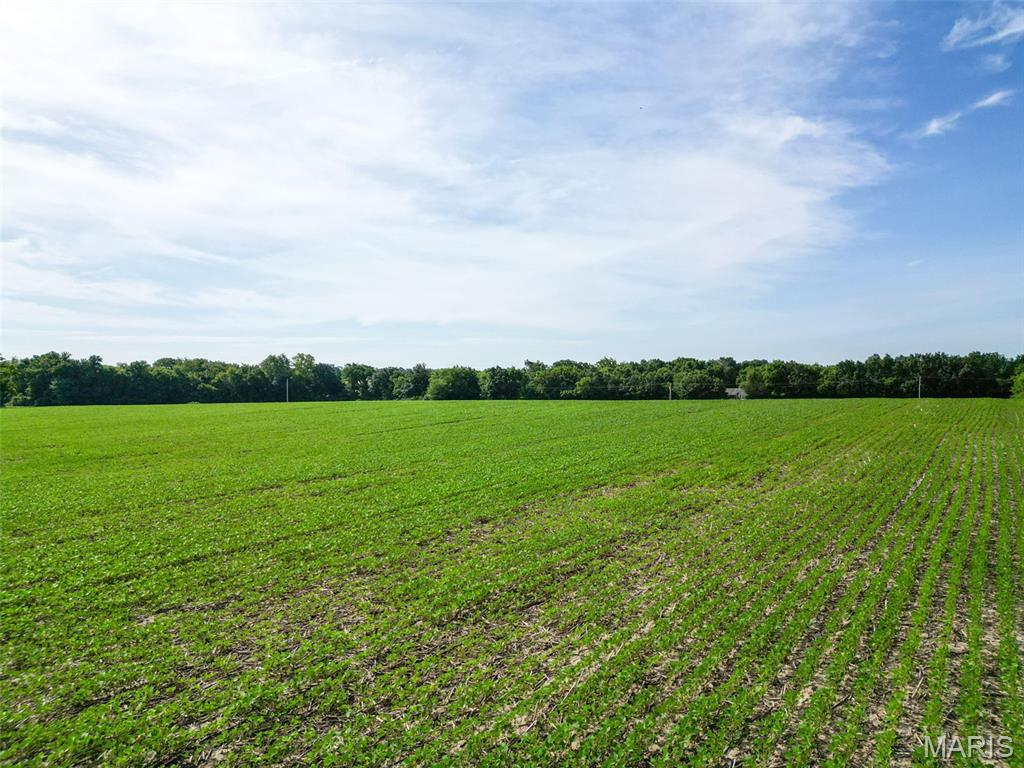 Stamer Farms - Land