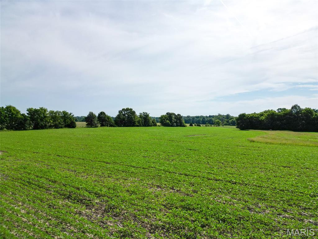 Stamer Farms - Land