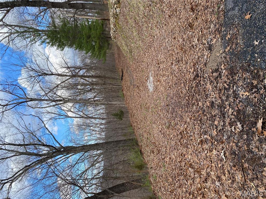Listing Alert !! Private Home-site or your getaway place in nature !! Bring your builder and your plans and begin your life in the country on a wooded 1.4 acre lot. Beautiful and peaceful, no close neighbors, but close to highway and convenience ! This site would be a great place to make your dreams come true !! Although this is a vacant lot, the owner wants scheduled showings ! There are neighbors on the way to the property but not close to the property. Electric easement is close but not at the property. The road leading to the property is pretty solid with gravel base, yet a 4 X 4 or all wheel drive vehicle is recommended, or you can park just past the last home on the right and walk approximately a 1/4 of a mile to the Yard Sign at the beginning of the property ! Please walk if it is wet so as not to tear up the roadway !! Additional Rooms: Other