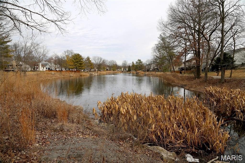 Villages Of Remington Oaks One - Residential