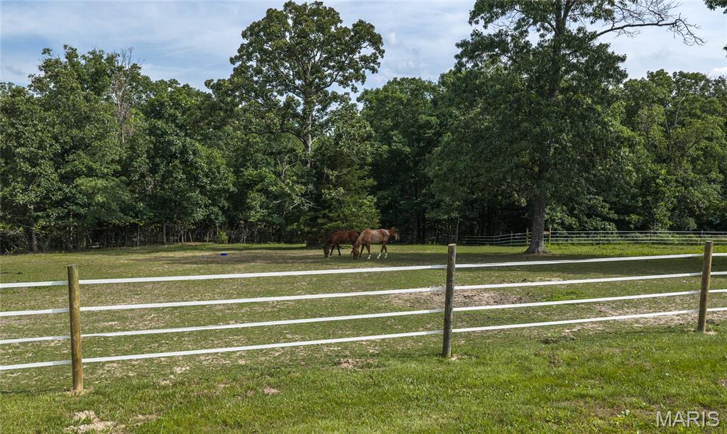 Tower Grove Estates - Residential