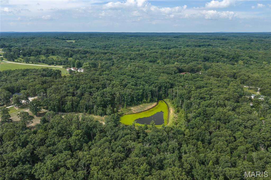 Tower Grove Estates - Residential