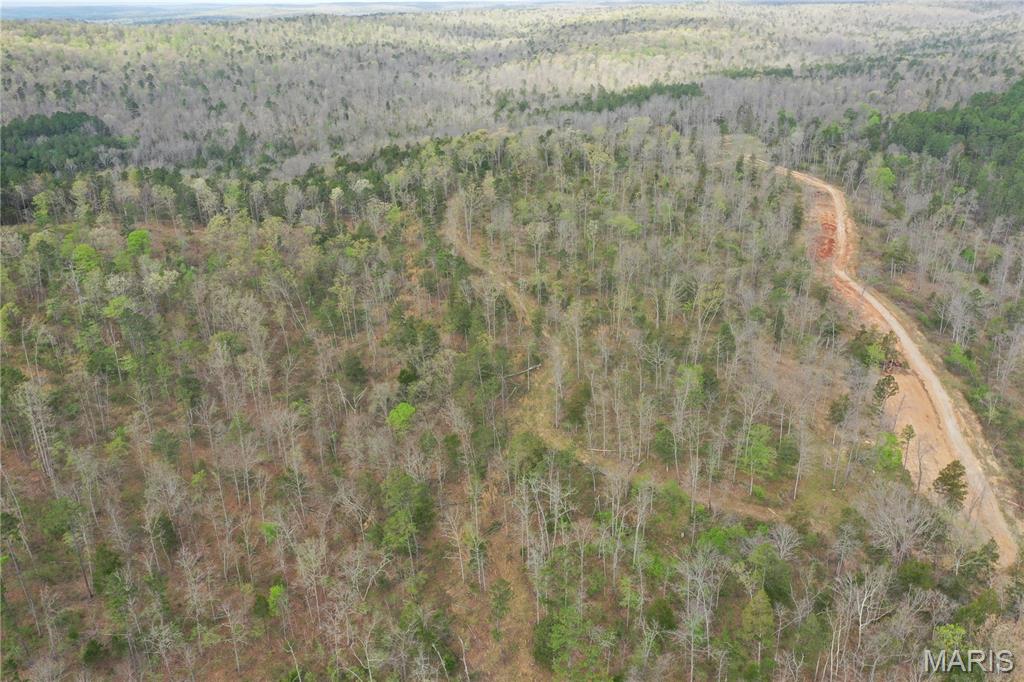 34+/- Unrestricted Acres – Your Ultimate Gateway to the Ozarks!
Discover the freedom you’ve been searching for on this breathtaking 34+/- acre parcel in the heart of Washington County. Perfectly situated between Potosi and historic Caledonia, this property offers the rare and highly sought-after advantage of no restrictions. Whether you envision a secluded off-grid cabin, a modern sustainable homestead, or a private hunting retreat, this land is a blank canvas for your vision. The terrain is effortlessly accessible thanks to an established trails that winds through the property—perfect for UTVs, hiking, or accessing your favorite hunting spots. Nature lovers will appreciate the proximity to Missouri’s crown jewels: Elephant Rocks State Park, Johnson’s Shut-Ins, and the Mark Twain National Forest are all just a short drive away. Enjoy the peace of the countryside with the convenience of being close to town. Looking for even more space? Additional acreage is available! Don't miss this opportunity to own a piece of the Ozarks where the only limit is your imagination. Schedule your private tour today!
