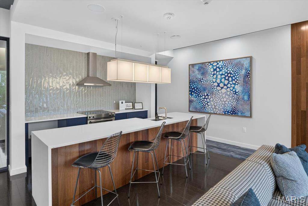 4101 Laclede Condos - Residential