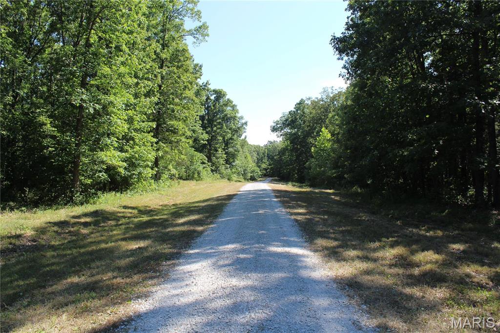 Warren Woods - Land