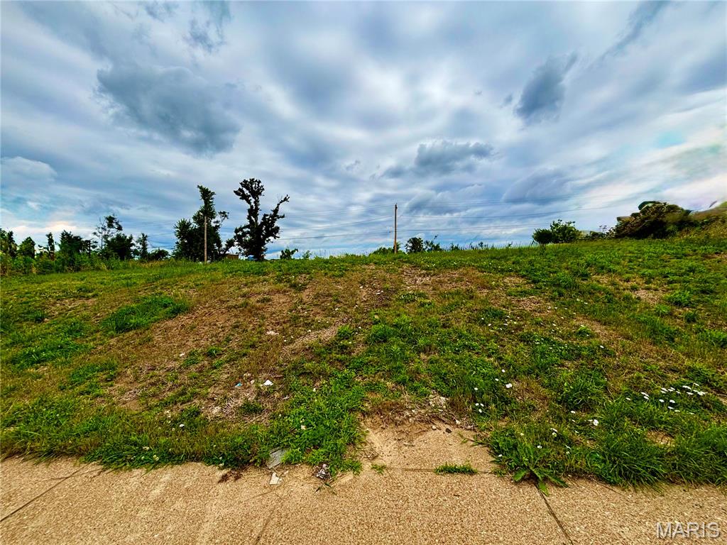 Excellent opportunity to own a vacant residential lot in the City of St. Louis! Whether you're a builder, investor, or future homeowner, this lot offers the potential to bring your vision to life. The lot is ready for new possibilities. Conveniently located with easy access to major highways, public transportation, schools, parks, shopping, and dining. Great opportunity for new construction or to add to your investment portfolio. Don't miss your chance to invest in the growing St. Louis market.