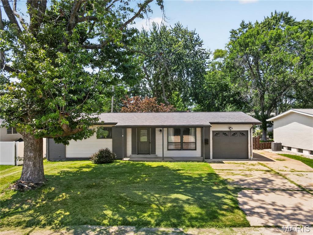 Flamingo Park 13 - Residential
