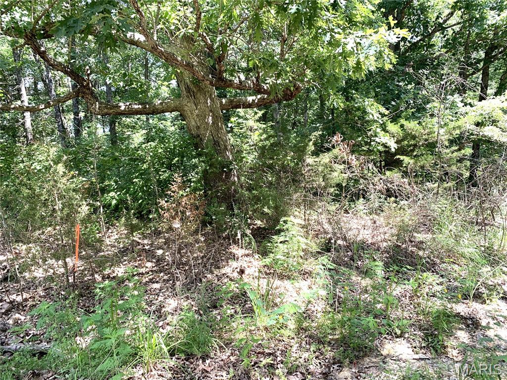 Do you need a place to get away to for some quiet time?  This lot is affordable and tucked away at the rear part of this subdivision where there will be little traffic so you can set up your camper to enjoy your own piece of land!  However, if you also want to have some fun...check out the 3 lakes in this community where you can fish for a while, spend some time swimming or bring your boat (trolling motors only) to take advantage of the recreational aspect of Whispering Valley!  The lot is in it's natural state so will require some sweat equity to open it up but you can decide how to use this lot! Take advantage now so you don't miss out on lots of summer fun and enjoyment!  *Orange ribbons mark the approximate location of the front lot corners.*  **NO full time living in any camper in this subdivision.**
