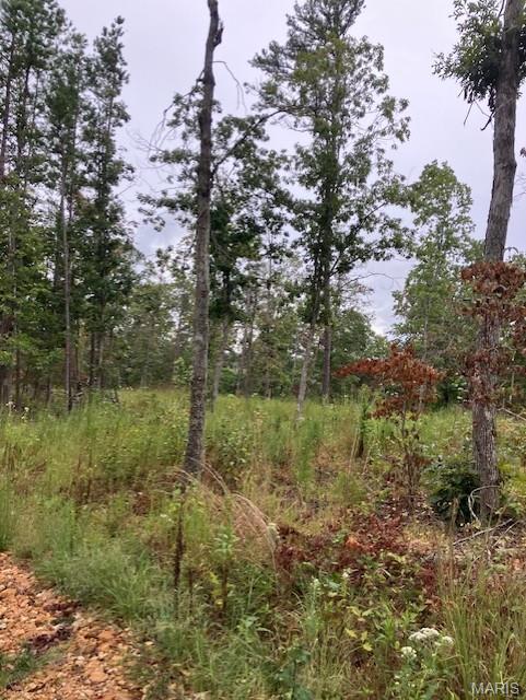 Wooded rural acreage with access to a shared spring-fed stream and within a mile of Mark Twain National Forest ... it doesn't get much better. A landowner's dream come true. 
This Ozark oasis comes with NO restrictions. And there's a nice wide deeded easement gravel road leading from the county road to your property.
Hunt, camp, build, ride ATVs on your own land, or fish or play in the shared creek section. The opportunities are endless.
This property is wooded and rolling. You are within a mile of the 22,176-acre Mark Twain National Forest ... public ground where you can also hunt, ride and explore. All this, and only about 2 miles by road from U.S. 67 for quick and easy access.
Use this 99 acres (or add 1 for an even 100) as a base camp for adventure. This and surrounding land is teeming with deer, turkey and small game, and the occasional feral hog or maybe a black bear. 
Ownership comes with access to a 3-acre shared stretch of the magnificent 12 Mile Creek and gravel bar.