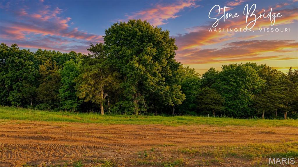 One of the Fabulous Five homesites of Phase V at Stone Bridge offers a setting worthy of your dream home!  Premium homesites backing to mature trees now available. These rare properties offer a private, park-like setting that creates the perfect backdrop for a luxury custom home. Enjoy the beauty of nature, enhanced privacy, and year-round scenic views while remaining conveniently located near shopping, dining, healthcare, and recreation. Opportunities to build on wooded homesites like these are becoming increasingly rare.  Secure your spot today!

Choose your favorite floor plan and then customize to be just the way you want it.  The kitchen includes an oversized island with quartz tops, upgraded cabinets, and upgraded appliance package w/ range hood and microwave built into the island.  The kitchen is open to the great room, where you'll find a fireplace and plenty of windows for natural light. Don't miss the three car garage, covered back deck,  and an oversized walk out patio.  The master suite includes a walk in tile shower, double vanity, and linen closet.  Finished lower level adds a recreation room, 4th bedroom and full bath.

Enjoy your private backyard in an ideal Washington, Missouri location at Stone Bridge, by Northern Star Homes.
These items are included at the price shown:
- Premium homesite that backs to trees
- 3 car garage + added depth
- 10' ceilings in the common area
- Upgraded kitchen cabinets, 42" cabinets, oversized island
- Upgraded stainless appliance package
- Upgraded flooring
- Modern lighting and hardware
- Premium trim package and upgraded interior doors
- Open staircase
- Finished lower level
- Walk out lower level
- Walk-in shower and double bowl vanity

Build with Northern Star Homes:  1. Choose your homesite.  2.  Choose your floor plan.  3.  Customize with your options and style.   Secure your homesite today at Stone Bridge in Washington. Northern Star Homes - Washington's Hometown Builder.
