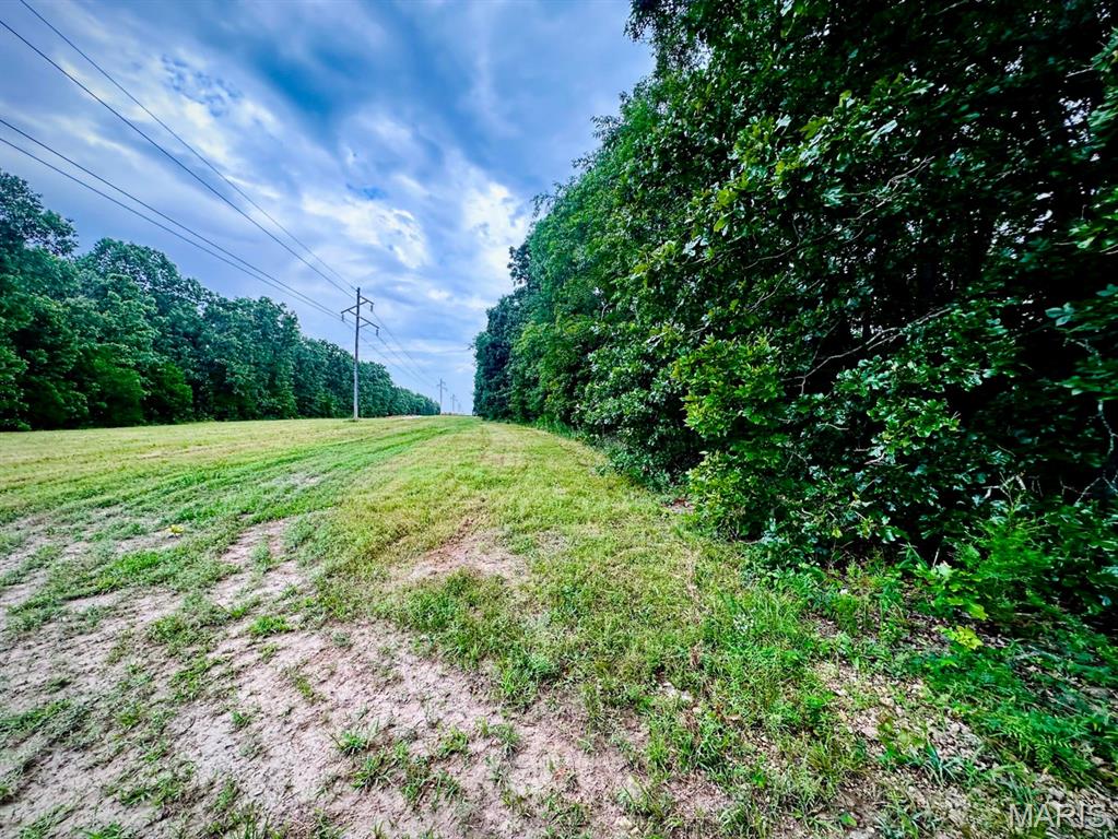 Seller financing available! 5.6 surveyed acre lot of pretty Ozarks woods just perfect for your dream home. With electric and water available, Salem R-80 school district and just minutes to Salem city limits. Near local rivers, 1000's of acres of State & National Forest land, close drive to Rolla and 2 hours to St. Louis. Some restrictions apply.