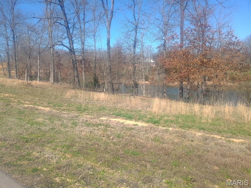 Saddlebrook Ridge - Land