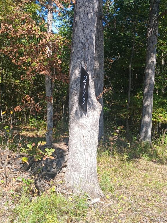 Looking for the perfect summer getaway? Here is your opportunity to own just that! This beautiful 5+/- acre lot is located in the rural community of Big Woods! Enjoy peace and privacy with gently rolling terrain, mature trees, and space to build or explore. This property includes private access to the Big River and access to the lake with a boat dock—perfect for fishing, floating, or weekend relaxation. Ideal for a homesite, weekend retreat, or recreational use. Located just minutes from town with easy access to Hwy E or Hwy 21. Don’t miss this opportunity to own your own piece of nature with river and lake access!