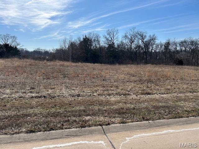 Mainieri Comm Park - Land