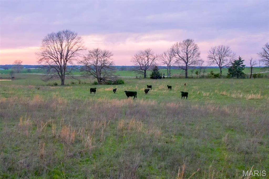 N/A - Farm