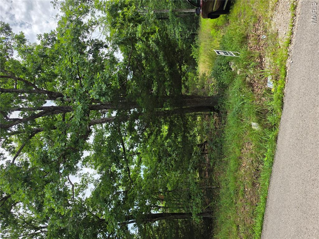 Hard to find. 14 Acres just 2 miles from Lebanon city limits. Land is already cleared for a home or camping spot or pick your own spot for the most privacy.  Driveway established. Electricity present and in use. No restrictions so this land is open to your imagination. It would be a perfect place for your new home. very close to town but still very private and secluded. Blacktop road so no dust from dirt roads. Great hunting if you just want to set up a hunting retreat. Property this close to town very seldom comes available.
