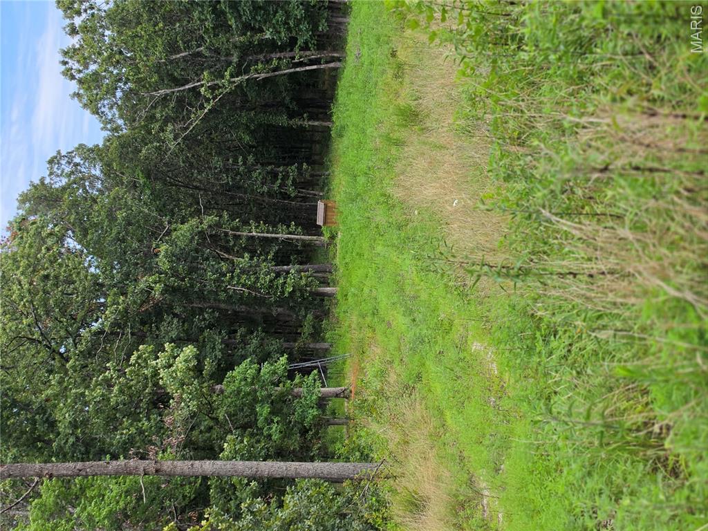 None - Land