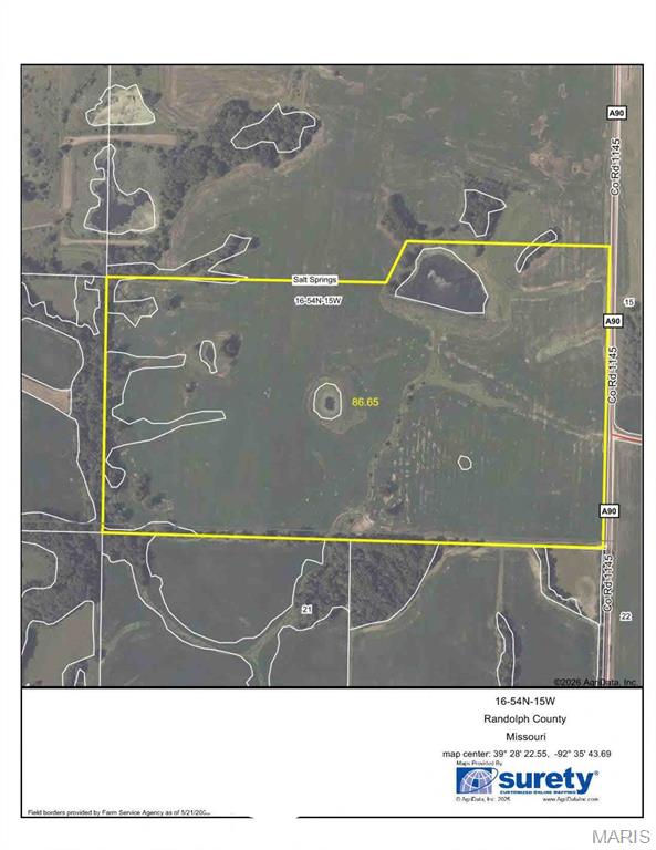 Randolph 88 acres 70 ac tillable, has a nice lake, approximately 2.3 acres. Was in beans for 2025. Owner has a 3-year lease in place 2026-2027. $200 tillable acre paid upfront each April 1st, additionally has a hunting lease in place $24 per acre. Priced at $5900 per 
acre. Subject to final survey.