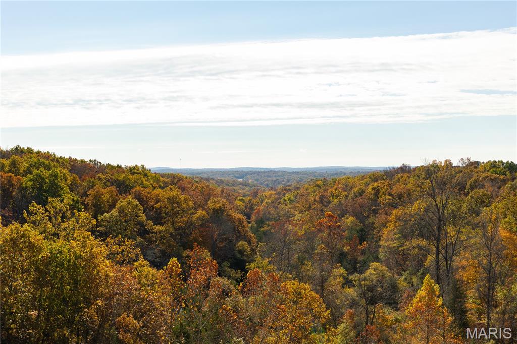 Discover the beauty and freedom of country living with 10 available lots in Kingston Lake Estates, located in scenic Washington County, Missouri. These unique parcels offer a stunning mix of natural topography, including gently rolling terrain, level building areas, wooded hillsides, and peaceful valleys. Mature trees provide privacy and shade, while a picturesque creek winds through portions of the property, enhancing the natural charm of the landscape. With abundant wildlife, beautiful forested surroundings, and multiple potential building sites across the available parcels, Kingston Lake Estates is an ideal setting for those seeking privacy, nature, and outdoor adventure. Outdoor enthusiasts will love the access to a massive private lake, perfect for fishing, kayaking, or simply enjoying the tranquil waterfront setting (sorry, no motor boats or jet skis). Whether you're planning a full-time residence, weekend retreat, or recreational getaway, these lots offer the space and flexibility to bring your vision to life. This is a rare opportunity to secure land in one of Washington County’s most naturally beautiful areas with easy access right off Hwy 47. There are Protective Covenants on the land to maintain quality, and homes on these lots will all be built by the same master-quality builder. Lots can be purchased individually or in any combination. Choose your lot and start building your escape today.