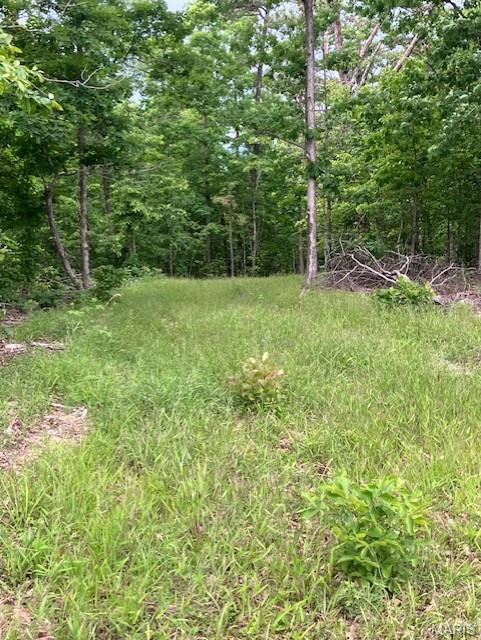On the top of the ridge with a nice deeded gravel road access.
 This more than 10 acres comes with NO restrictions, and can be had for less than the price of a new truck or SUV. And has one of the best southwest facing view in the Ozarks.
Hunt, camp, build, ride ATVs on your own land, or fish or play in nearby creeks ... endless opportunities.
This property is wooded and rolling. You are within a mile of the 22,176-acre Mark Twain National Forest ... public ground where you can also hunt, ride and explore. All this, and only about 2 miles by road from U.S. 67.
Use this wooded, secluded property as a base camp for adventure or build your forever home and live out your days in secluded bliss. This and surrounding land is teeming with deer, turkey and small game, and the occasional feral hog or maybe a black bear.
There is additional acres available which adjoin this piece if interested.