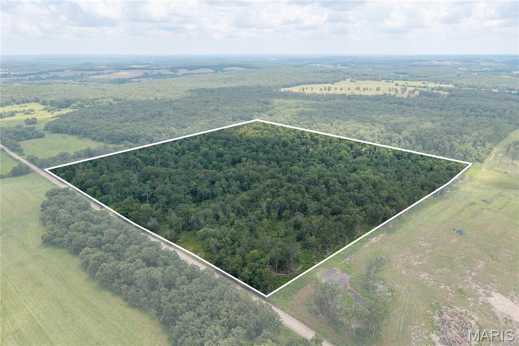Endless possibilities await on this beautiful 40-acre property with 1,300 +/- feet of road footage. Whether you’re searching for a premier hunting property, the perfect location to build your dream home, or land with the potential to be cleared for farming or pasture, this property offers the flexibility to fit your vision. Abundant wildlife makes this an excellent hunting destination, while the acreage provides plenty of room for trails, recreation, livestock, or future development.
Properties offering this combination of acreage, utility access, and endless possibilities are becoming increasingly hard to find. Whether you’re looking to create a family homestead, weekend getaway, recreational retreat, or long-term investment, this property is ready for its next owner. Electric and fiber internet available at the road.
