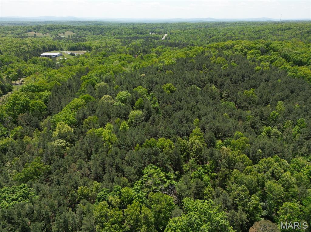 Discover the perfect escape with this beautiful 20 acre m/l wooded property offering exceptional privacy and endless possibilities. Surrounded by peaceful natural scenery, this secluded tract is ideal for building your dream home, creating a private recreational retreat, or enjoying hunting, hiking, and outdoor adventures. Whether you're looking to invest, build, or simply own your own slice of nature, this property is ready to make your vision a reality.
