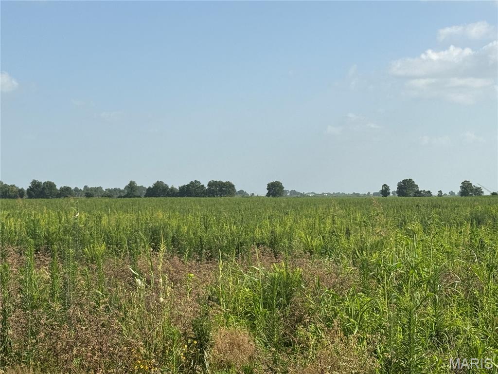 NA - Farm