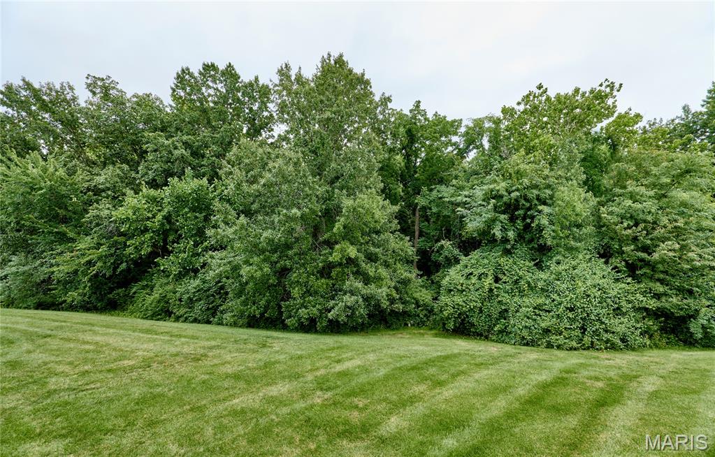 Turtle Creek Villas Road Ded & Esmt - Residential