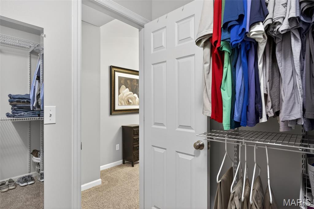 Newport Meadow - Residential