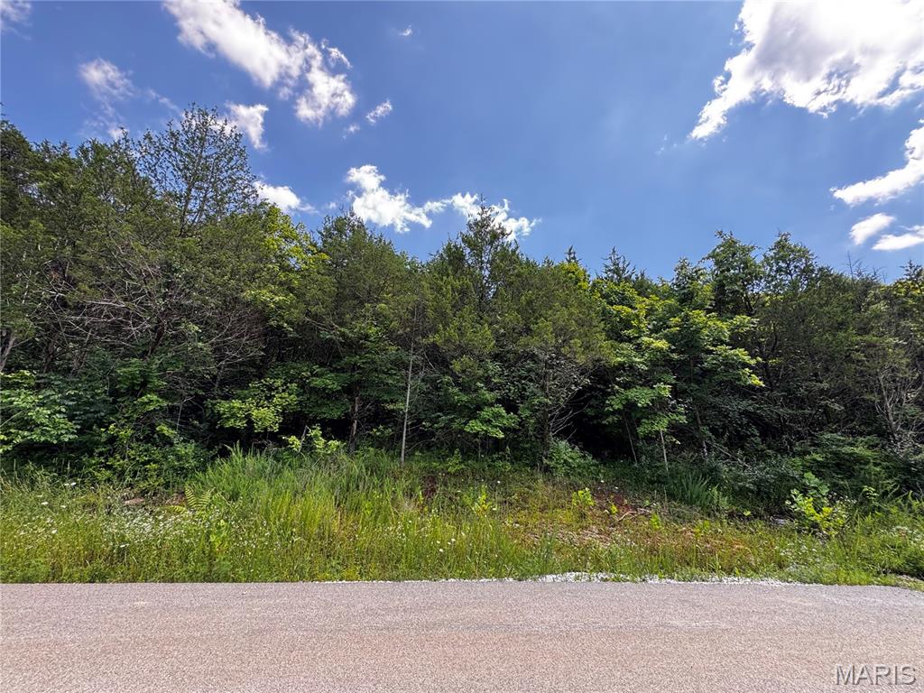 Eagles View Estates Four - Land