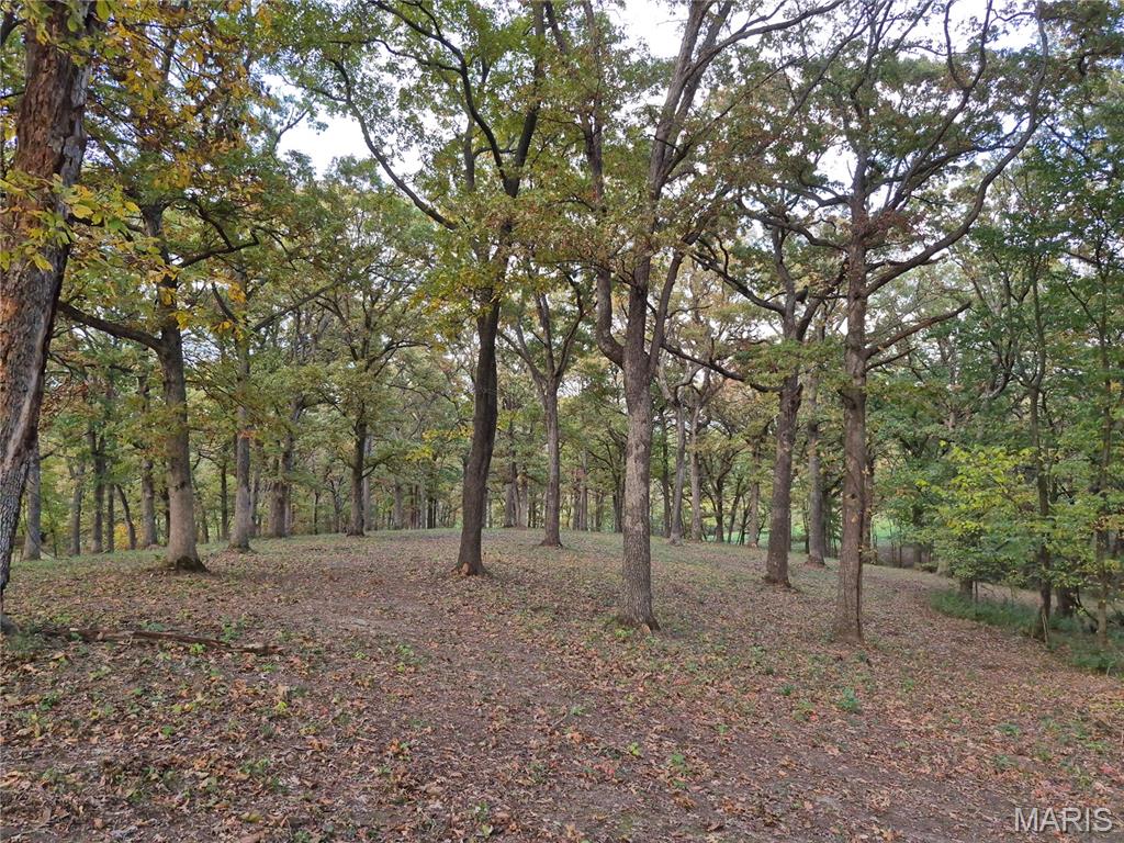 Experience the ideal balance of privacy, natural beauty, and modern convenience with this exceptional 14+/- acre property. Equipped with underground electric and water, this stunning tract features mature trees and breathtaking panoramic views—creating the perfect backdrop for your dream home or private getaway. 
Thoughtful deed restrictions protect your investment and the surrounding landscape, requiring a minimum 1,200-square-foot site-built home while prohibiting mobile or modular homes, hog confinement buildings, junkyards, race tracks, and unnecessary logging beyond clearing a homesite. These standards help preserve the property’s beauty, tranquility, and long-term value. Nature lovers and outdoor enthusiasts will appreciate the abundant wildlife, including turkey and trophy-class whitetail bucks—offering both recreation and relaxation right outside your door. Rarely does a property combine scenic views, utilities in place, and protective covenants so seamlessly. Additional acreage is available. Agent owned.
