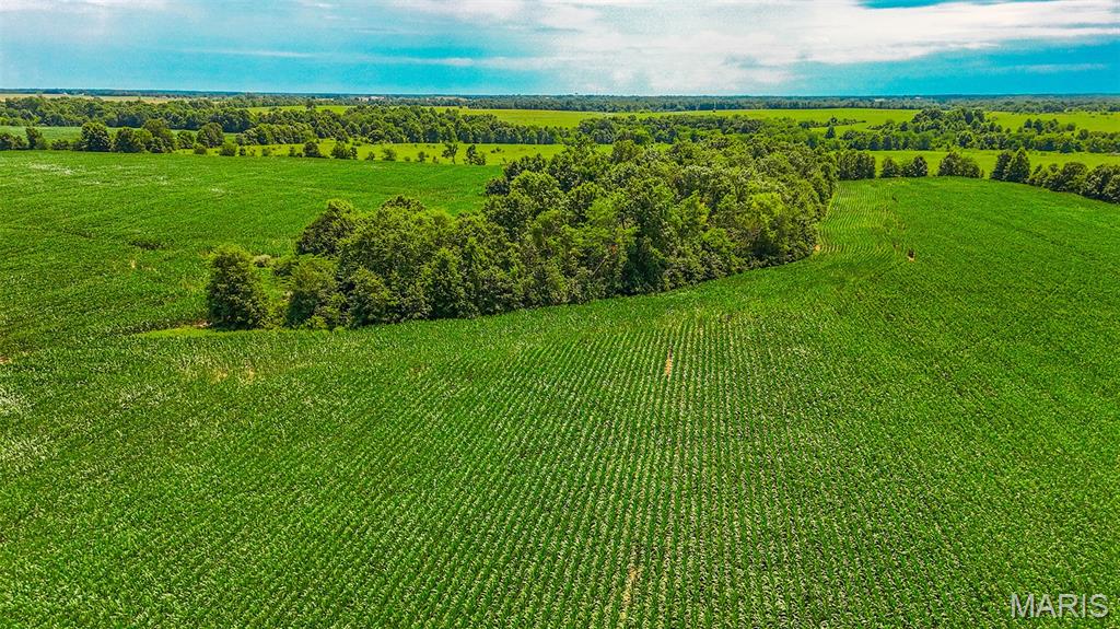 Huntsville - Farm