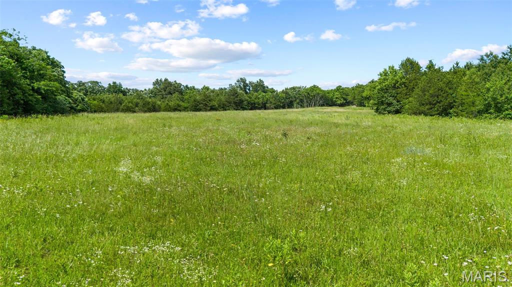 Discover the perfect blend of seclusion, recreation, and convenience with this beautiful 23.48-acre property just a few miles outside of Eldon and only 20 minutes from the Lake of the Ozarks. Tucked away in a peaceful setting and located just one minute off Highway 52, this tract offers easy access while maintaining the privacy and tranquility of country living.
A scenic creek-bottom field winds through the property, creating an attractive landscape and excellent habitat for wildlife. Whether you’re searching for a prime hunting tract, a weekend getaway, or the ideal location to build your dream home, this property has the versatility to fit your vision.
With a mix of open ground, natural beauty, and abundant recreational opportunities, you’ll enjoy the best of rural Missouri while remaining close to town and lake-area amenities. Properties of this size and location are becoming increasingly difficult to find—don’t miss your opportunity to make this one your own.

Property Highlights:

23.48 acres near Eldon, MO
Only 20 minutes to the Lake of the Ozarks
Beautiful creek-bottom field running through the property
Excellent hunting and recreational opportunities
Just one minute from Highway 52
Convenient access with a private, country feel
Whether you’re looking to hunt, build, or simply enjoy the outdoors, this property offers endless potential in a highly desirable location
