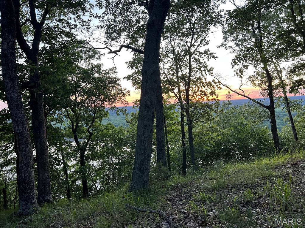 The Bluffs III - Land