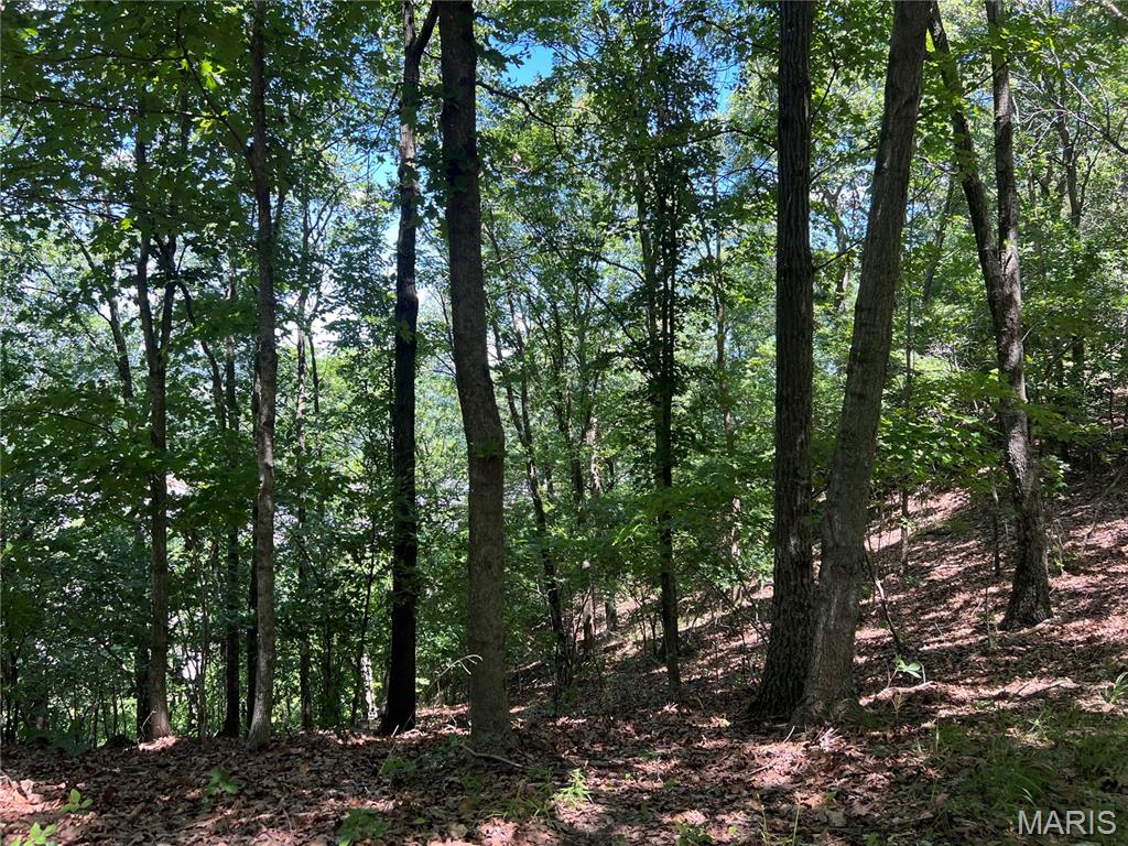 The Bluffs III - Land